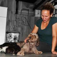 Lagotto Romagnolo – Ideal Dale - Breeding Home with HEART